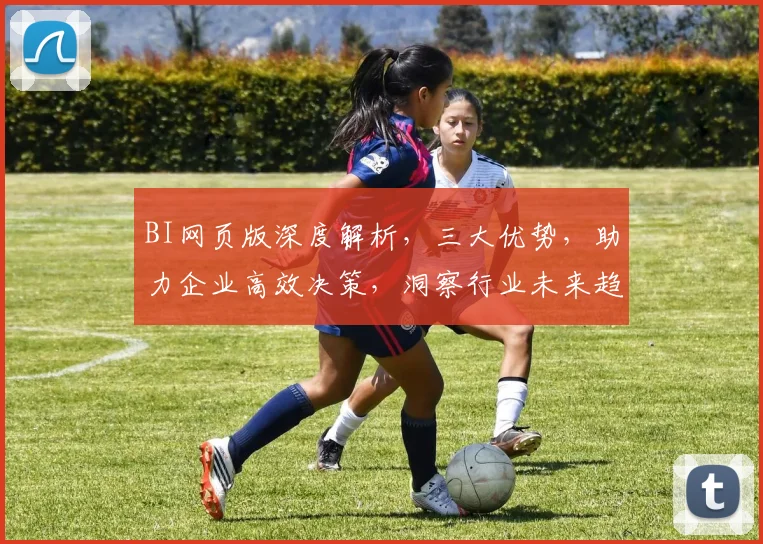 BI网页版深度解析，三大优势，助力企业高效决策，洞察行业未来趋势，优化管理实践，创新战略布局