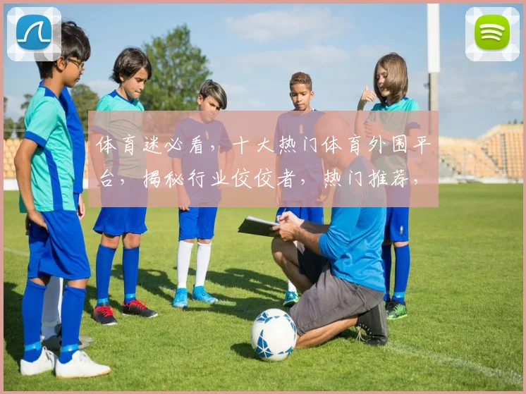 体育迷必看，十大热门体育外围平台，揭秘行业佼佼者，热门推荐，不容错过，一网打尽