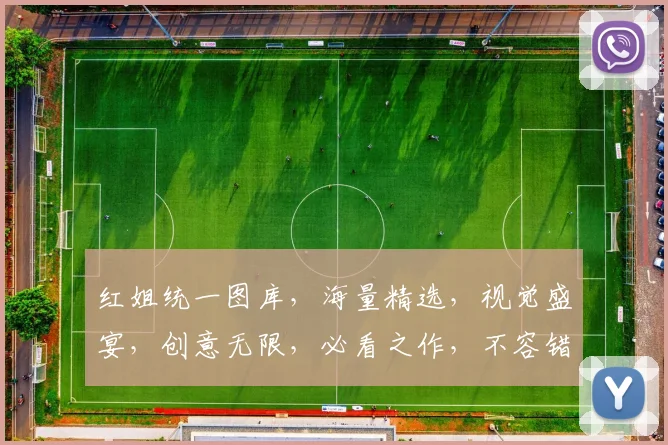红姐统一图库，海量精选，视觉盛宴，创意无限，必看之作，不容错过