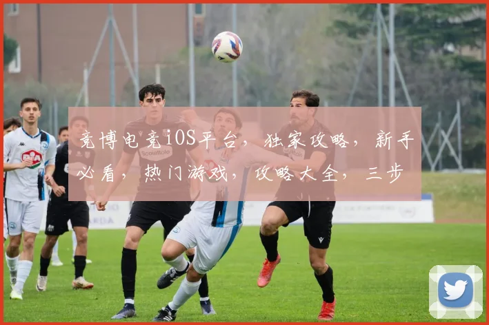 竞博电竞iOS平台，独家攻略，新手必看，热门游戏，攻略大全，三步上手逗逗乐