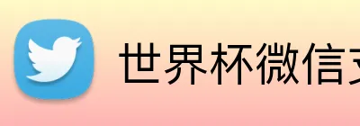 世界杯微信支付 logo
